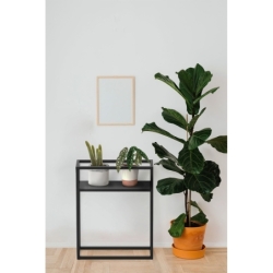 Czarny stolik CLEO 60 cm  metalowy stolik z pó³k¹