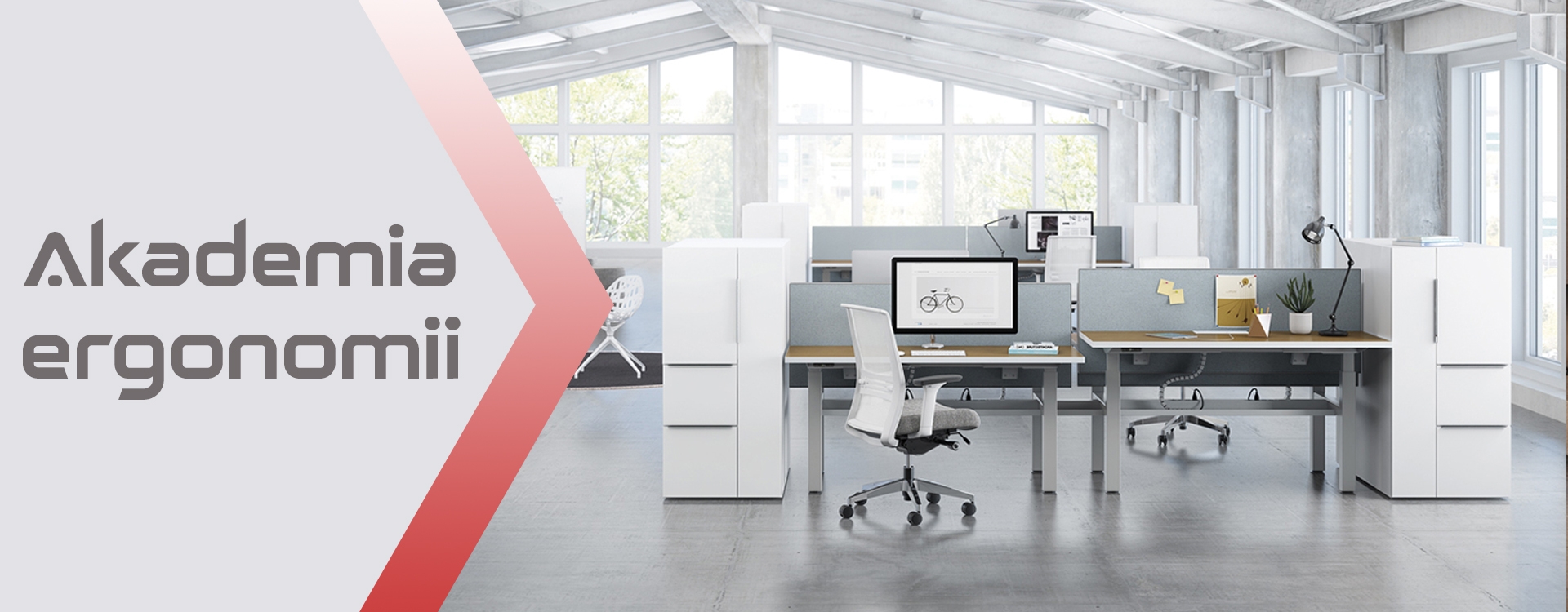 Akademia Ergonomii